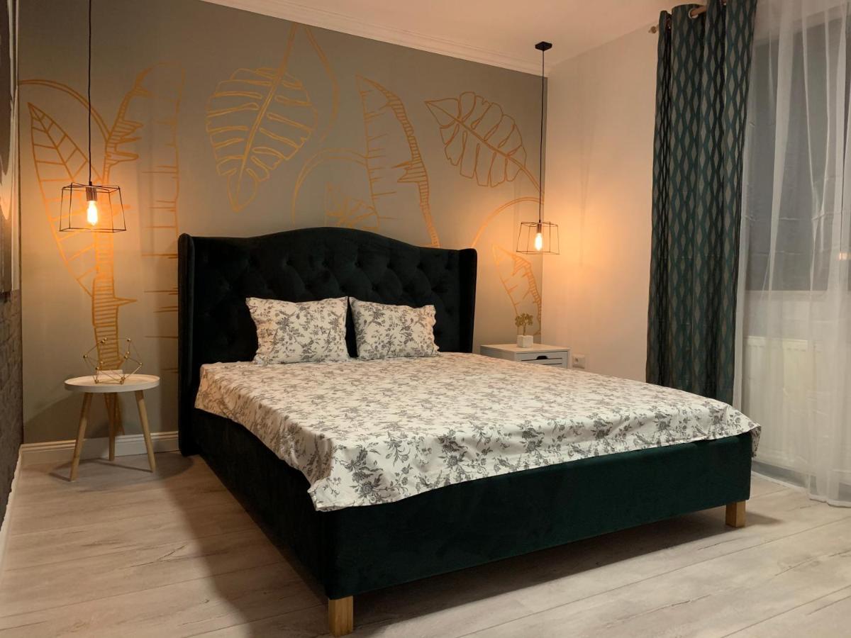 سوتْشافا Best Apartment Scheia المظهر الخارجي الصورة