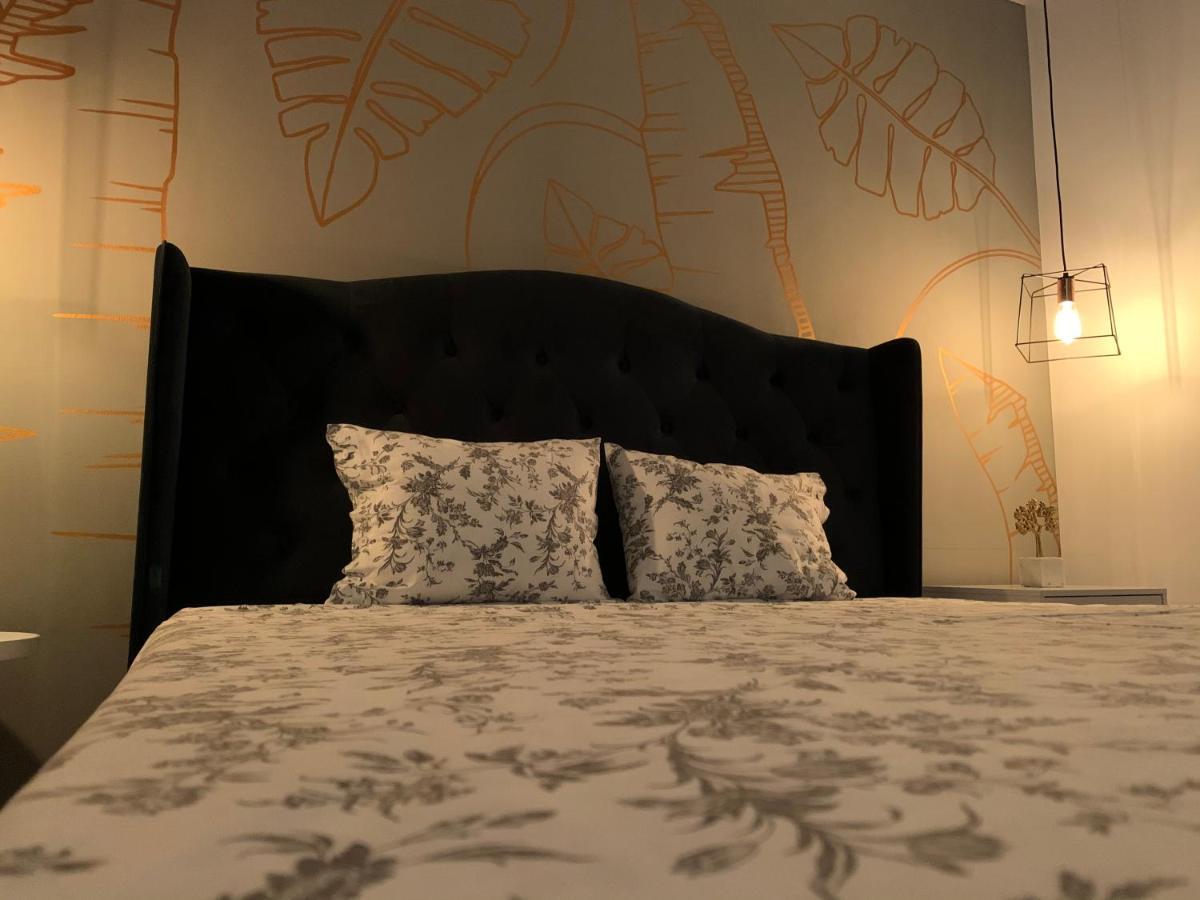 سوتْشافا Best Apartment Scheia المظهر الخارجي الصورة